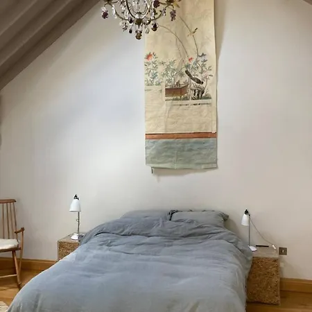 Fashionable & Homey 2bd Flat - Ranelagh *